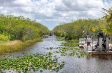 Balade en aéroglisseur dans les Everglades