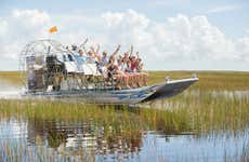 Balade privée en aéroglisseur dans les Everglades